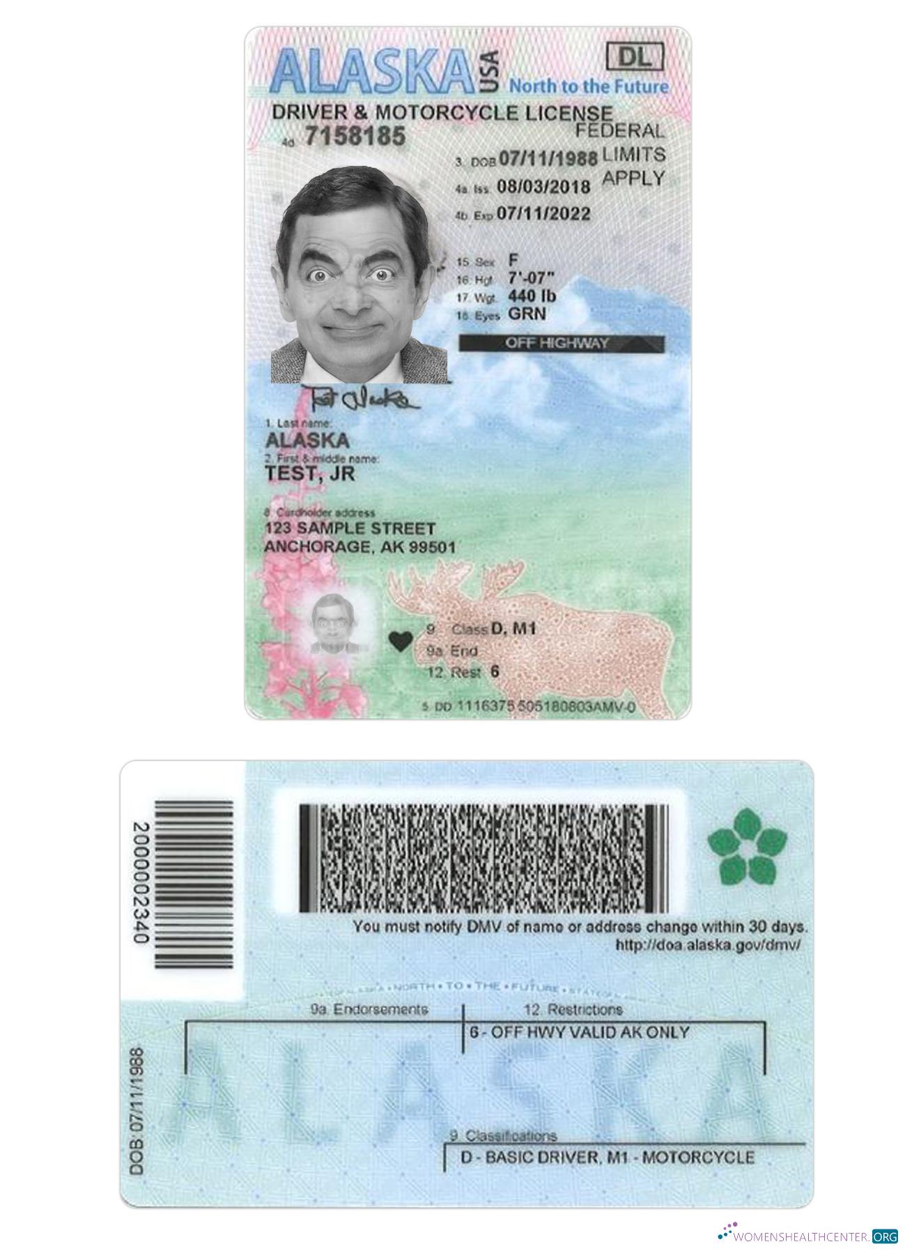 download USA Alaska under 21 driving license